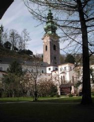 Blumen Geburtstag